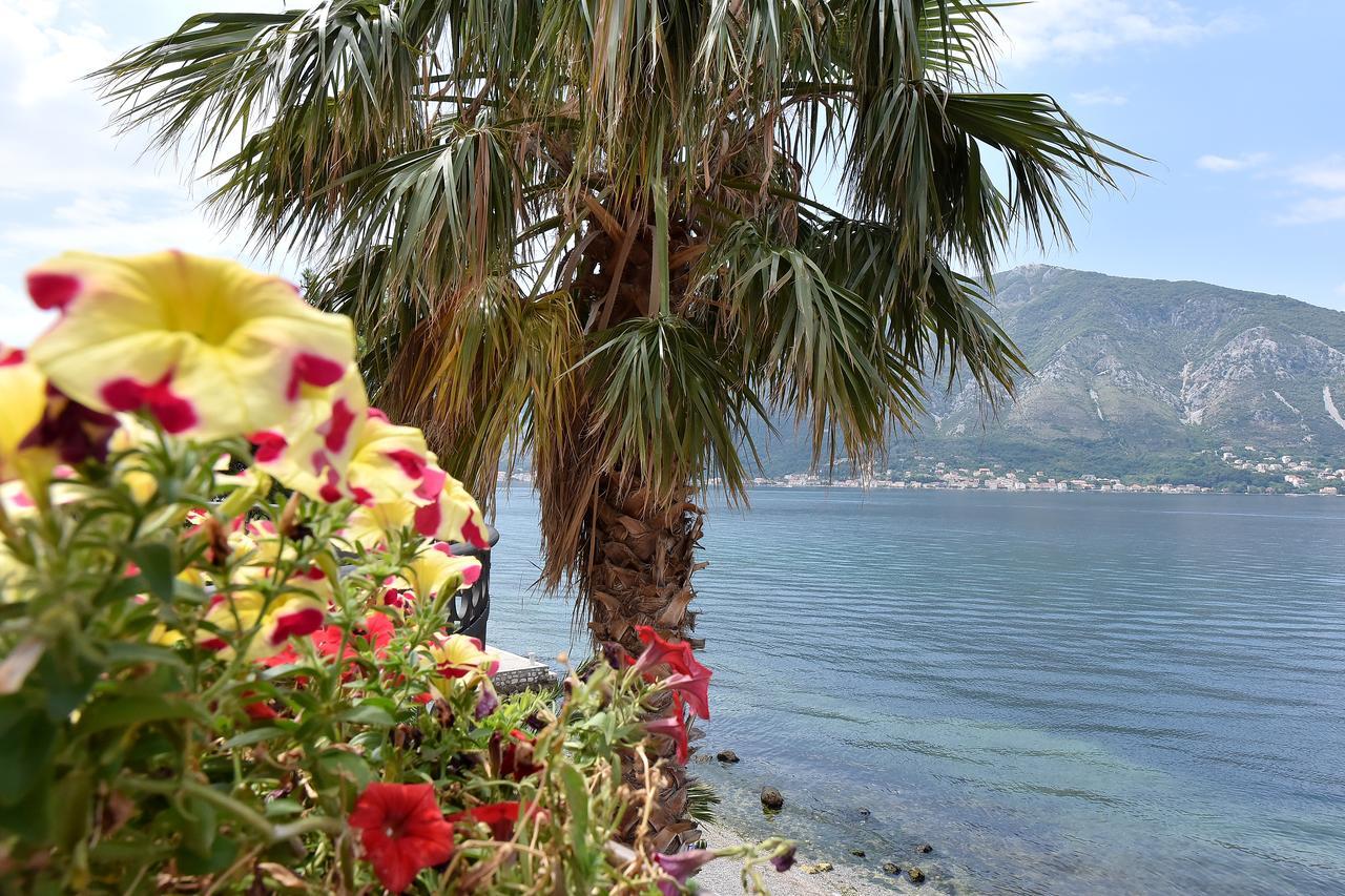 Apartment Maniva Kotor Extérieur photo