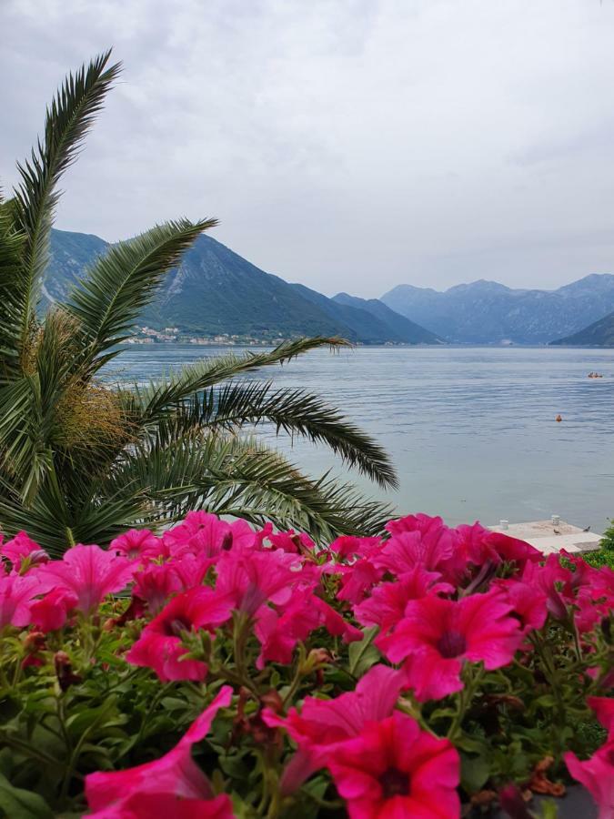 Apartment Maniva Kotor Chambre photo